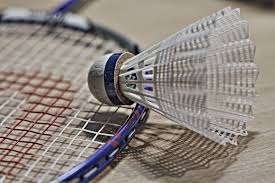 Image result for Devizes Badminton Club