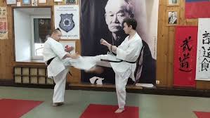 Image result for Ji Shin Do Karate