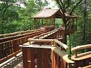 Tree House Designs - Ideas for Treehouse for Kids - Popular Mechanics