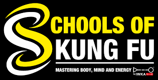 Image result for Kicking Dragon Kung Fu School, Belfast