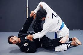 Image result for AAZENTAI JU JITSU