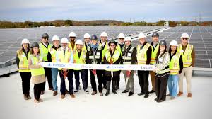 Image result for Team Economic Energy