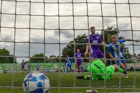 Image result for Newdigate F C