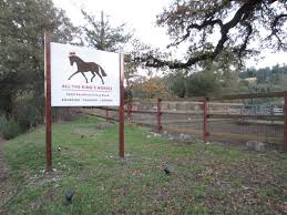 Image result for Kings Ranch Riding School/Club