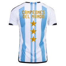 Image result for argentina campeon