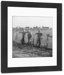 Résultat de recherche d'images pour "farm security administration photo"