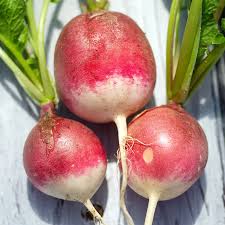 Image result for Radieschen