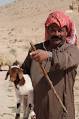 Bedouin - Wikipedia, the free encyclopedia