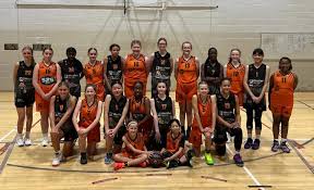 Image result for Sheffield Hatters Basketball Club