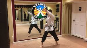 Image result for Hetton and Murton Karate Academy