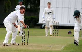 Image result for Long Sutton Cricket Club