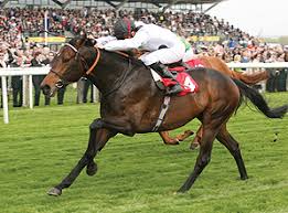 Image result for Elite Racing Club