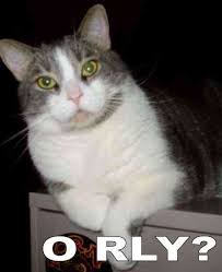 images?q=tbn:ANd9GcTfivtf7SPIOV9pRpE7vxGgWyz5rwGNsnFhvjNRrEKWpozgGkvJ