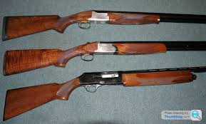 Image result for Surbiton Postal Rifle Club