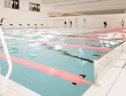 Image result for Stevenage Swimming Club