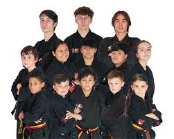 Image result for ATA Martial Arts Manchester