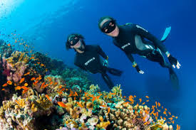 Image result for Blue Water Freediving School