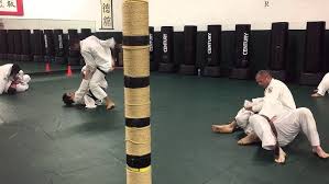 Image result for Norfolk Karate