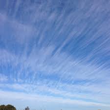 Attēlu rezultāti vaicājumam “Cirrus fibratus”