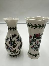 Attēlu rezultāti vaicājumam “Veronica chamaedrys bud”