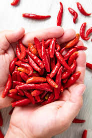 Afbeeldingsresultaat voor chile de arbol hot pepper