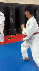 Image result for Suwanee Martial Arts Center