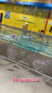 Image result for Swindon Dolphins