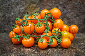Afbeeldingsresultaat voor oranje van goeienbier tomato