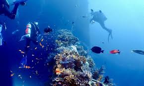 Image result for University Of London Sub-Aqua Club