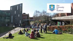 Image result for Sheffield University