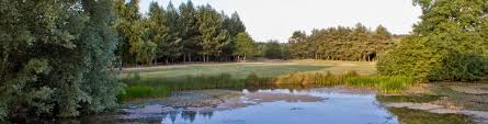 Image result for The Millbrook Golf Club , Bedfordshire