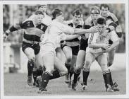 Image result for Swansea Rfc