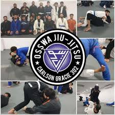 Image result for Basingstoke SMRTJ Jiu Jitsu