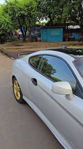 Image result for tuscani tibu...start=0