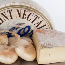 Image result for saint nectaire