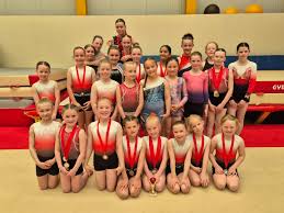 Image result for Appley Bridge Gymnastics Club
