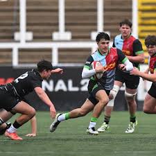 Image result for Oxford Harlequins R F C