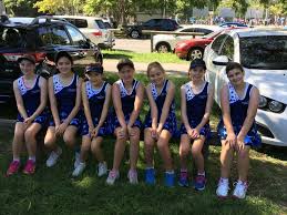 Image result for Charlestown/Adelphi Netball Club