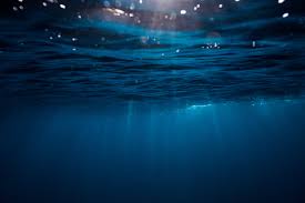 Image result for Blue Water Diving