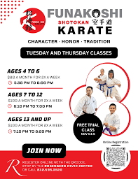 Image result for Shotokan Karate