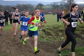 Image result for Deeside Aac