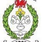 Image result for Tycroes Rugby Football Club