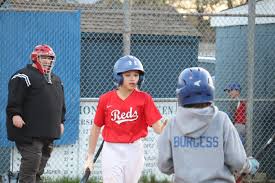 Image result for Elmbridge Girls` Little League