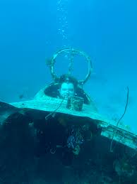 Image result for Exe To Sea Diving