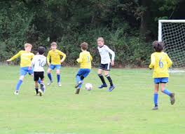 Image result for Woking Boys & Woking Fc (Part Of Woking Boys & Girls Fc)