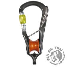 Image result for Weybridge RPC