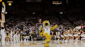 Image result for Thames Valley Tigers Basketball Team