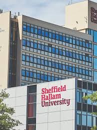 Image result for University of Sheffield Ultimate- Phat 'eds