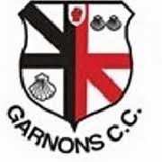 Image result for Worcester Dominies & Guild Cc