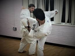 Image result for Windsor Karate Club